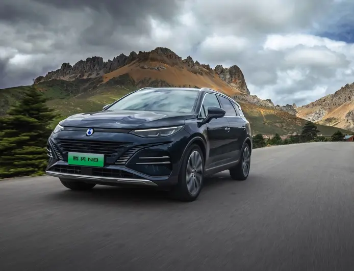 Denza N8 car OTA upgrade supports full-scenario intelligent voice